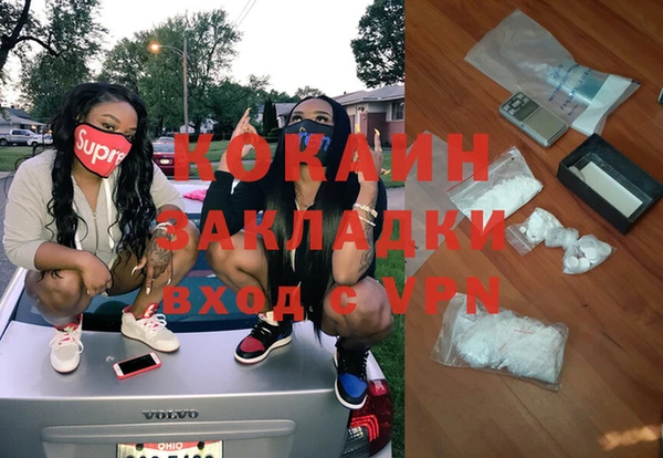 соль ск Новозыбков